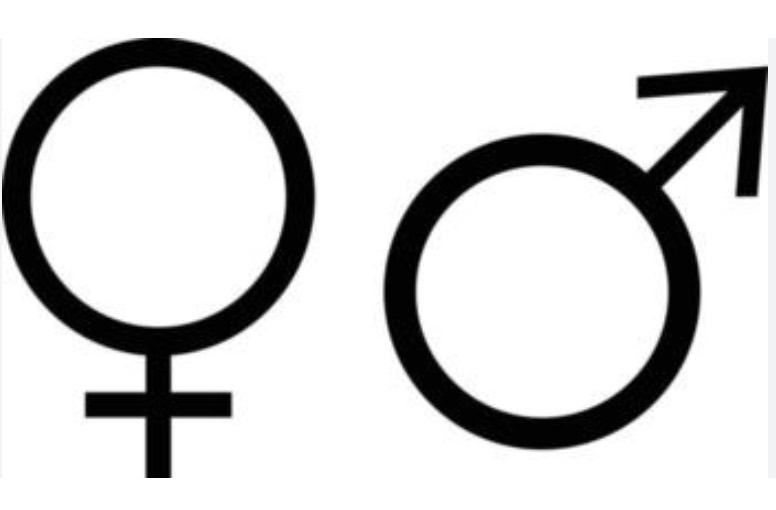 Symbole M F